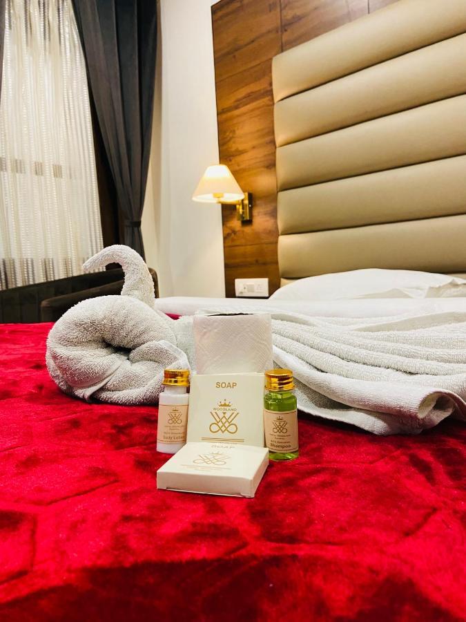 Hotel Woodland ナイニタール エクステリア 写真